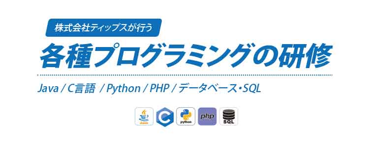 「Java」「Python」「C言語」「PHP」「SQL」などのプログラムスキルを習得し、業務の効率化やシステム開発に役立つスキルを身につける研修を提供しています。
